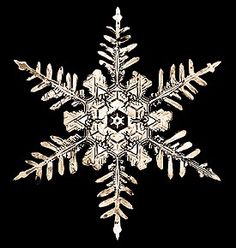Snowflake: An Ancient Symbol And Emblem of The Yukionna Society